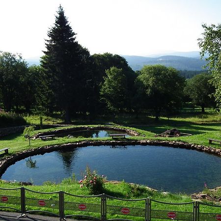 Hotel Alpska Vyhlidka Kvilda Ngoại thất bức ảnh